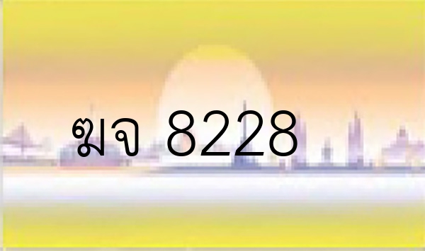 ฆจ 8228
